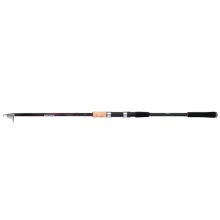 SHIMANO - Prut Sienna TEGT Glued 3,6 m 40-80 g 6 dílů