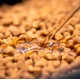 SONUBAITS - Olej Clear Pellet Oil 200 ml F1