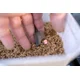 SONUBAITS - Wafters Band'Um Wafter 10 mm 45 g Washed Out