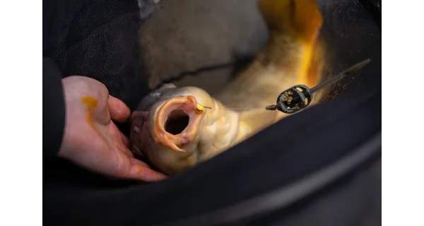 SONUBAITS - Wafters Band'Um Wafter 6 mm 45 g Power Scopex