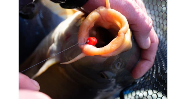 SONUBAITS - Wafters Band'Um Wafter 8 mm 45 g Fluoro