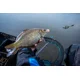 SONUBAITS - Wafters Micro Band'Um Fluoro 30 g
