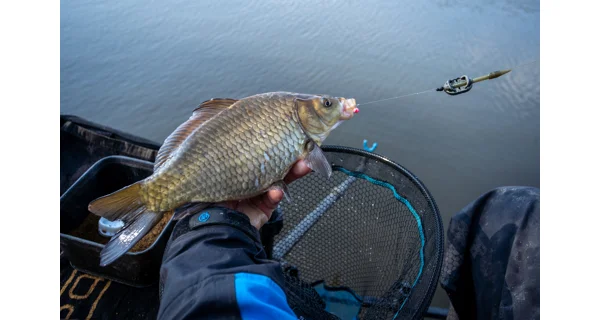 SONUBAITS - Wafters Micro Band'Um Fluoro 30 g