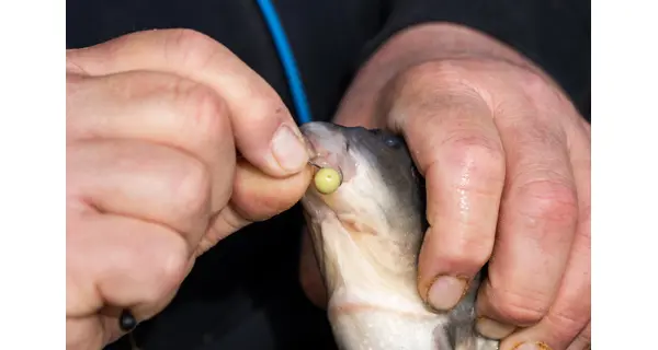 SONUBAITS - Wafters Spike'um Wafter 8 mm 35 g Meaty Mussel