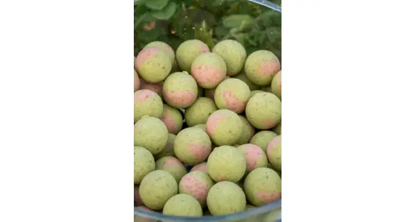 SONUBAITS - Wafters Spike'um Wafter 8 mm 35 g Meaty Mussel
