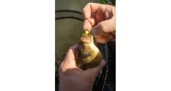SONUBAITS - Wafters Spike'um Wafter 8 mm 40 g Chocolate Orange
