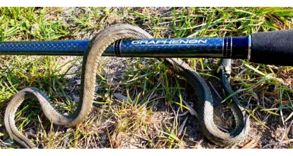 SPORTEX - Kaprový prut Graphenon Carp 3,96 m 3,75 lb
