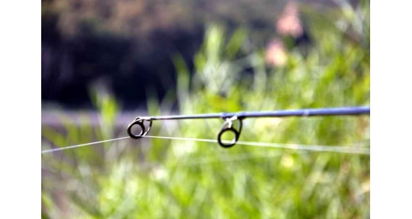 SPORTEX - Kaprový prut Revolt Carp Stalker 3 m 2,75 lb