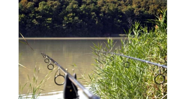 SPORTEX - Kaprový prut Revolt Carp Stalker 3 m 2,75 lb