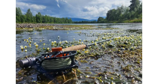 SPORTEX - Muškařský prut Synoris Fly 2,6 m #6 4 díly