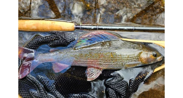 SPORTEX - Muškařský prut Synoris Fly 3 m #4 4 díly