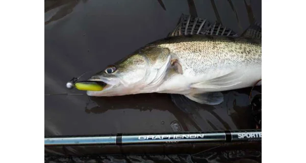 SPORTEX - Přívlačový prut Graphenon Spin 2,7 m 80 g