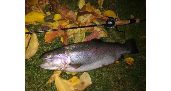 SPORTEX - Přívlačový prut Mystix Trout UL 1,88 m 0,7 - 7 g