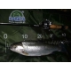 SPORTEX - Přívlačový prut Mystix Trout UL 2,01 m 0,6 - 6 g