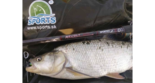 SPORTEX - Přívlačový prut Revolt Spin 2,4 m 20 g 2 díly