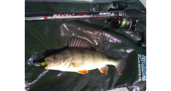 SPORTEX - Přívlačový prut Revolt Spin 2,7 m 80 g 2 díly