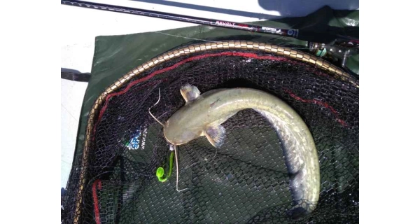 SPORTEX - Přívlačový prut Revolt Spin 2,7 m 80 g 2 díly