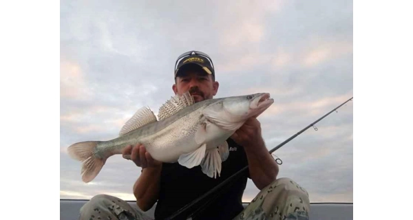 SPORTEX - Přívlačový prut Revolt Spin 2,7 m 80 g 2 díly