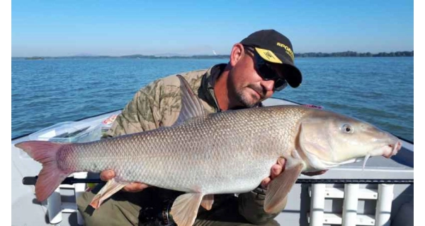 SPORTEX - Přívlačový prut Revolt Spin 2,7 m 80 g 2 díly