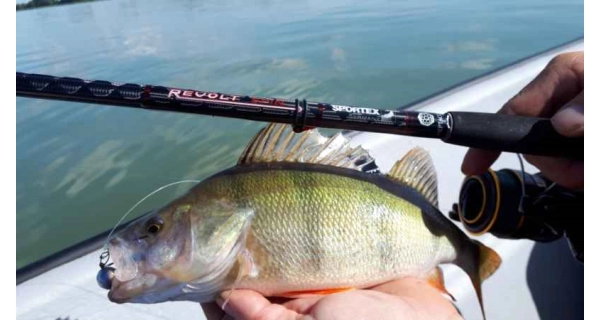 SPORTEX - Přívlačový prut Revolt Spin 2,7 m 80 g 2 díly