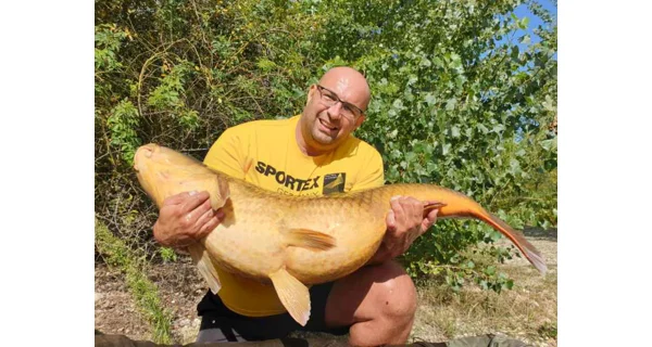 SPORTEX - Prut Beyond Carp 3,66 m 3,25 lb