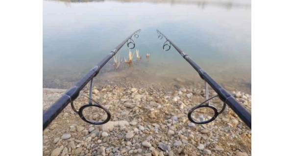 SPORTEX - Prut Beyond Carp 3,66 m 3 lb