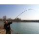 SPORTEX - Prut Beyond Carp 3,96 m 3,75 lb