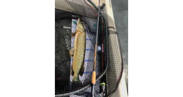 SPORTEX - Prut Beyond Spin 2,7 m 80 g