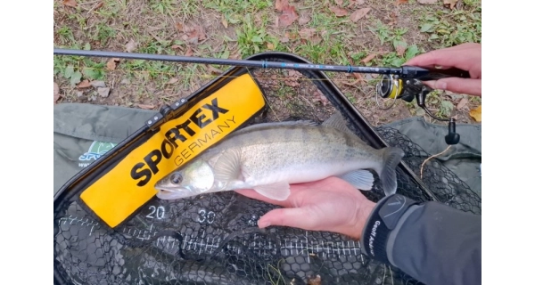 SPORTEX - Prut Black Arrow G4 Spin 2,1 m 40 g 2 díly