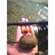 SPORTEX - Prut Catapult CS-3 Carp 3,66 m 3,25 lb