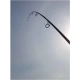 SPORTEX - Prut Catapult CS-3 Carp 3,66 m 3 lb