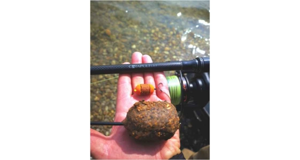SPORTEX - Prut Catapult CS-3 Carp 3,66 m 3 lb