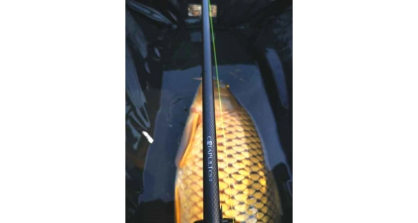 SPORTEX - Prut Catapult CS-3 Carp 3,66 m 3 lb