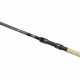 SPORTEX - Prut D.N.A. CS 2 3,66 m 2,75 lbs