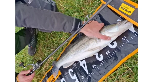 SPORTEX - Prut Graphenon RS-2 Spin 2,7 m 20 g