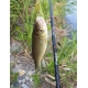 SPORTEX - Prut Nova Ultra Light 3-9 g 1,85 m