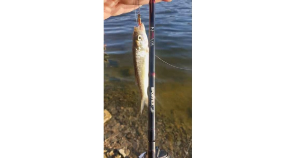 SPORTEX - Prut Nova Ultra Light 3-9 g 1,85 m