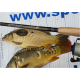 SPORTEX - Prut Xclusive Heavy Feeder NT 3,9 m 100-190 g