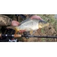 SPORTEX - Prut Xclusive Medium Feeder NT 4,2 m 90-160 g