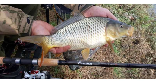 SPORTEX - Prut Xclusive Medium Feeder NT 4,2 m 90-160 g
