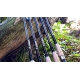 SPORTEX - Prut Xclusive Medium Feeder NT 4,2 m 90-160 g