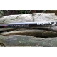 SPORTEX - Prut Xclusive Medium Light Feeder NT 3,6 m 60-120 g