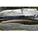 SPORTEX - Prut Xclusive Medium Light Feeder NT 3,6 m 60-120 g