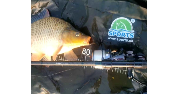 SPORTEX - Rybářský prut FBC Carp 3,96 m 3,50 lb