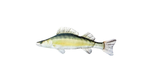 SPORTS - Dekorační polštář Candát 77 cm