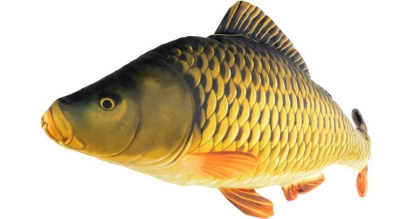 SPORTS - Dekorační polštář kapr šupináč 61 cm