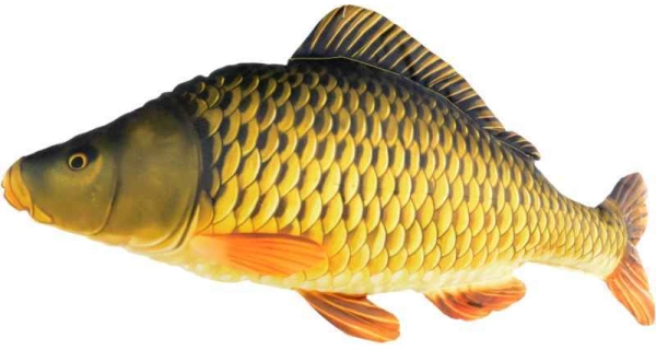 SPORTS - Dekorační polštář kapr šupináč 61 cm