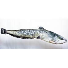 SPORTS - Dekorační polštář - sumec 115 cm SPORTS - Dekorační polštář - sumec 115 cm