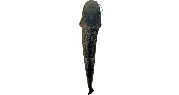 SPORTS - Dekorační polštář sumec Pepa 115 cm