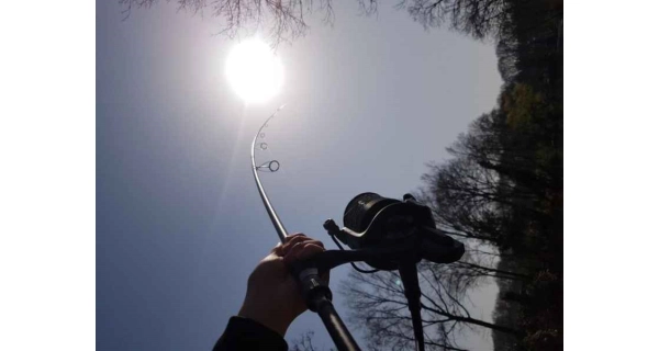 SPORTS - Radical kaprový set naviják 10 000 + prut 3,6 m 3 lb